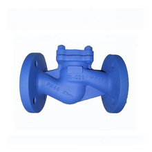 DIN Cast Iron Flanged Ends Lift Type Check Valve